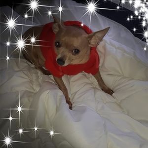 Meet your Posher, Anna paula